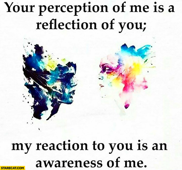 Your perception of me is a reflection of you my reaction to you is an awarness of me inspirinq quote