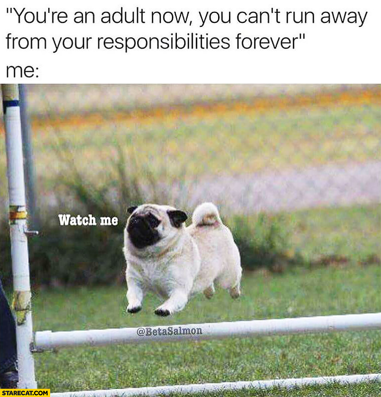 You’re an adult now, you can’t run away from your responsibilities forever. Me: watch me pug dog
