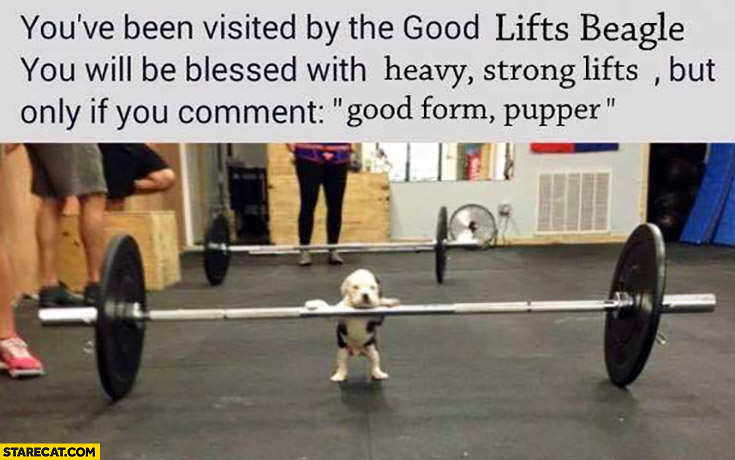 You’ve been visited by the good lift beagle. You will be blessed with heavy strong lifts but only if you comment good form pupper