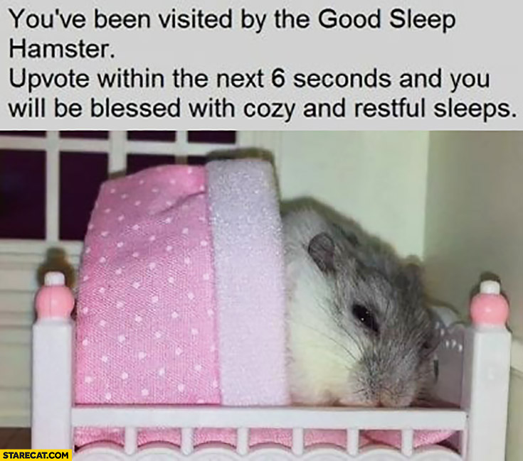 You’ve been visited by the good sleep hamster upvote within the next 6 seconds and you will be blessed with cozy and restful sleeps