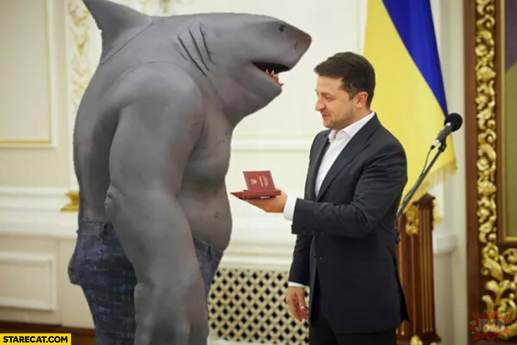 Zelensky awarding shark with medal for eating russian tourist photoshopped